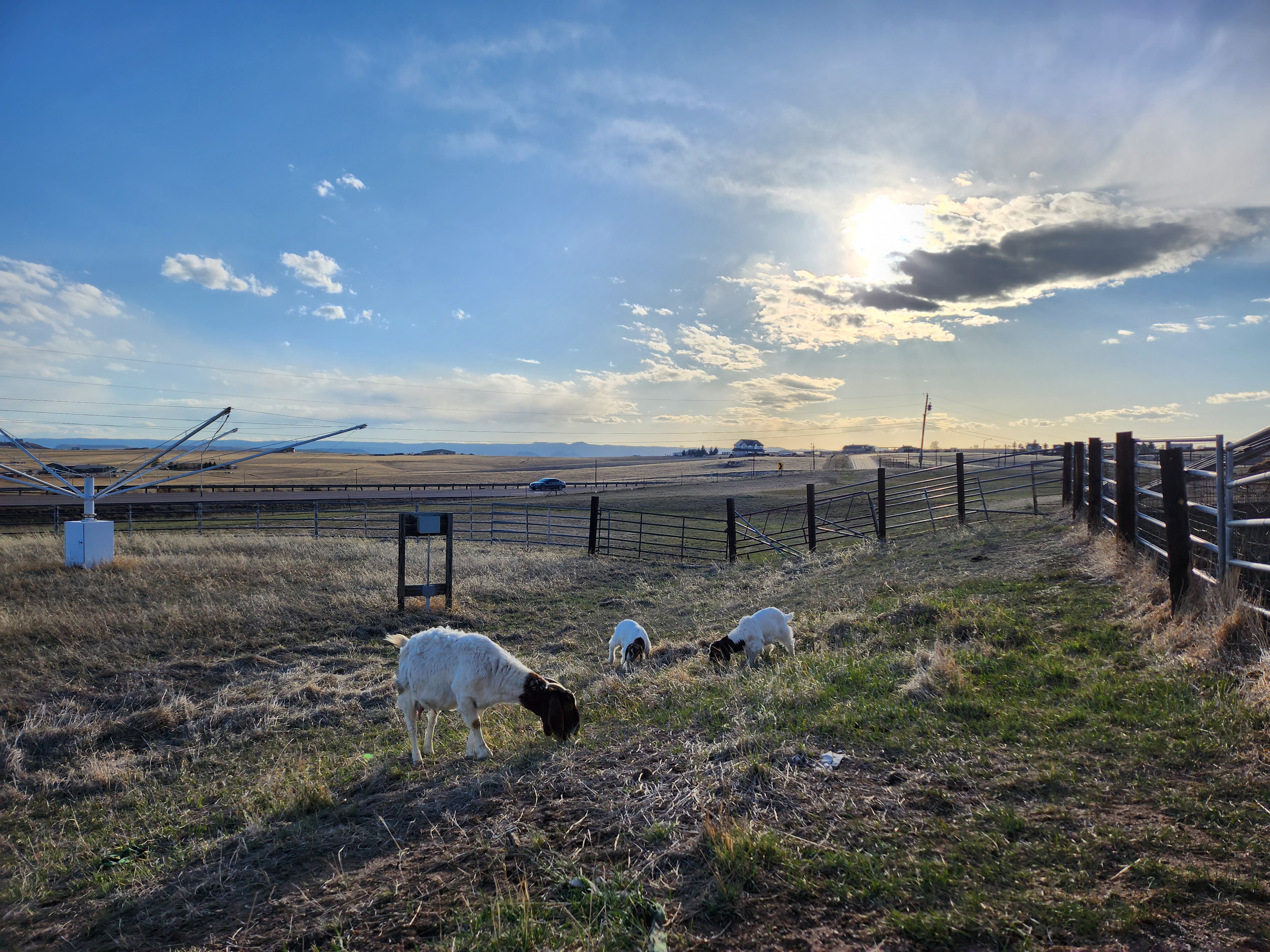 Certified Infeasibility